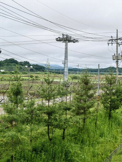 28 DMZ (114)