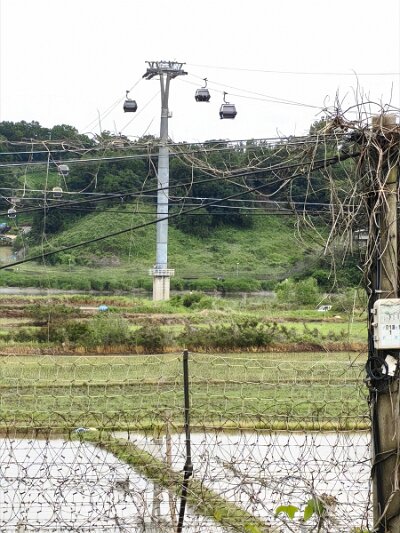28 DMZ (118)