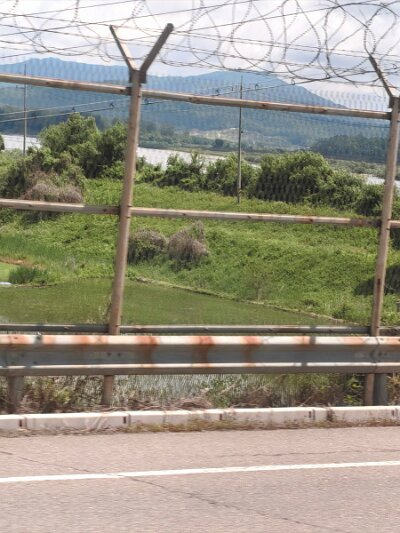 28 DMZ (208)