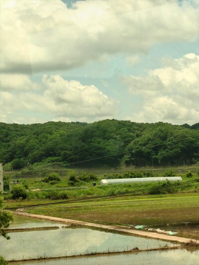 28 DMZ (242)
