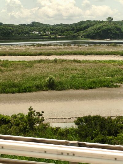 28 DMZ (254)