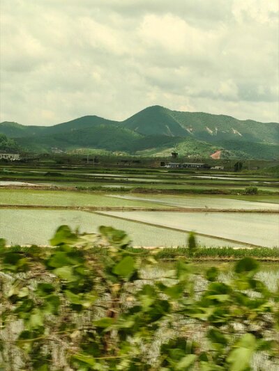 28 DMZ (290)