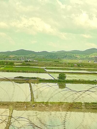28 DMZ (292)