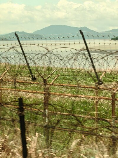 28 DMZ (308)