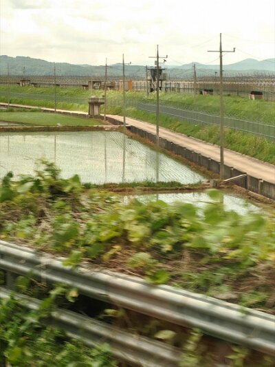28 DMZ (309)