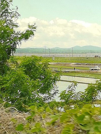 28 DMZ (310)
