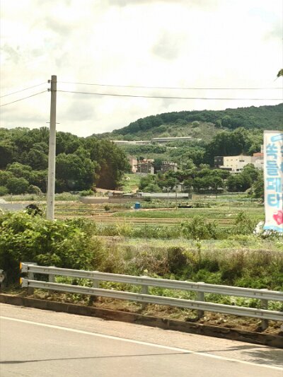 28 DMZ (313)