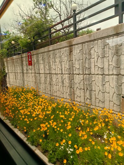 28 DMZ (328)