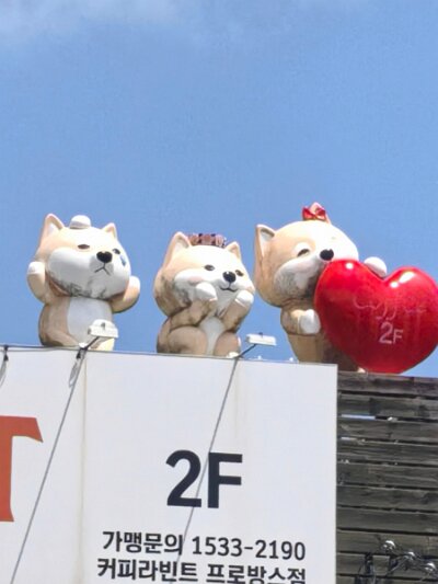 28 DMZ (355)