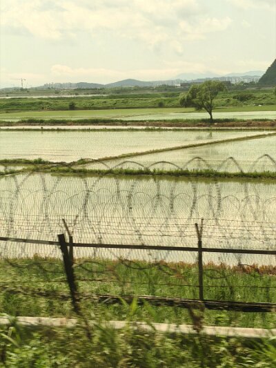28 DMZ (404)