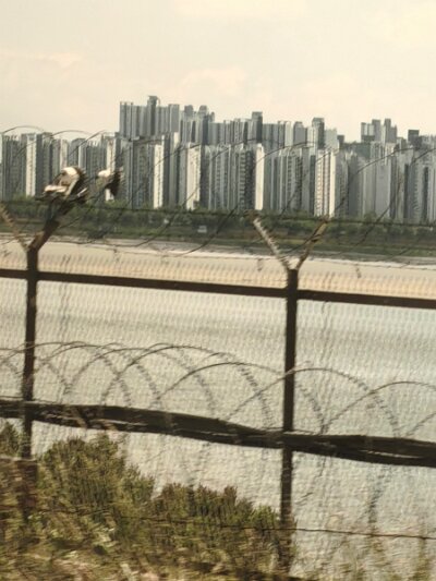 28 DMZ (411)