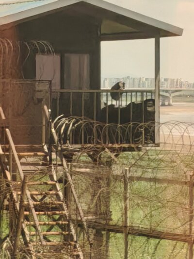 28 DMZ (419)