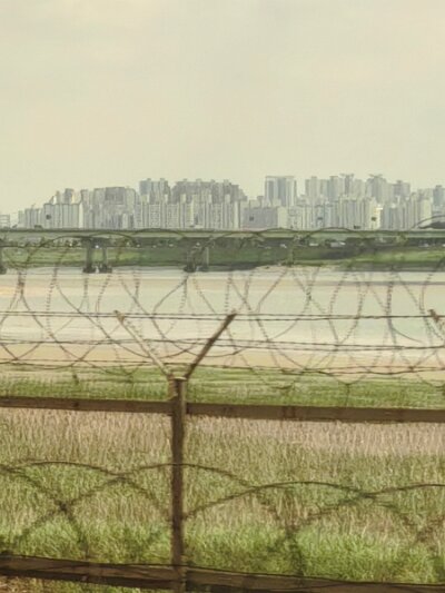 28 DMZ (421)