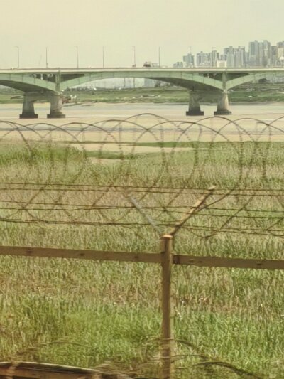 28 DMZ (423)