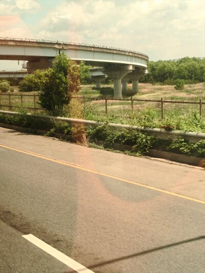 28 DMZ (429)