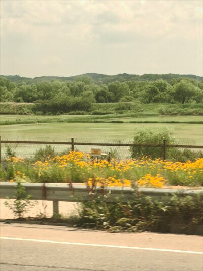 28 DMZ (433)