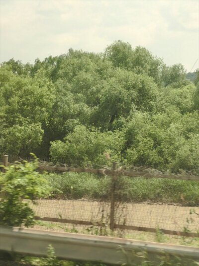 28 DMZ (437)