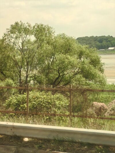 28 DMZ (439)