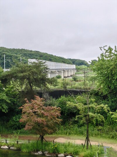 28 DMZ (80)