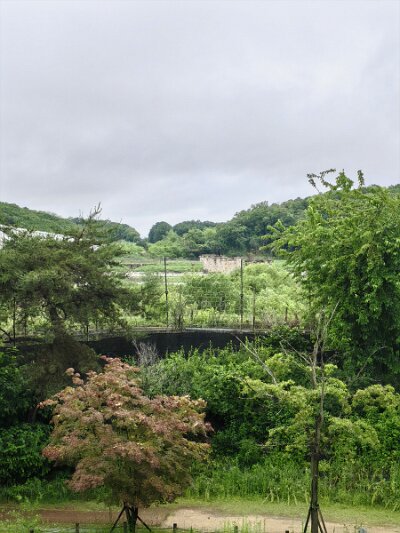 28 DMZ (81)