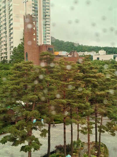 Myeongdong (146)