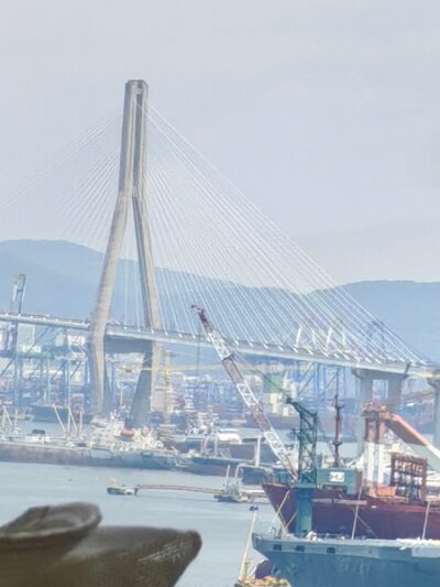BuddhistBusan (587)