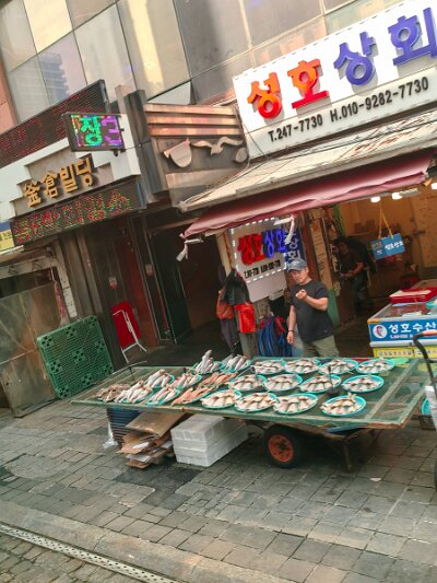 BuddhistBusan (674)