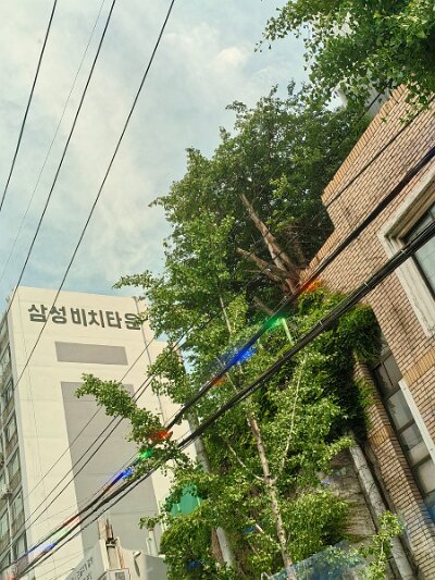 BuddhistBusan (355)