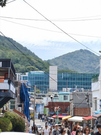 BuddhistBusan (512)