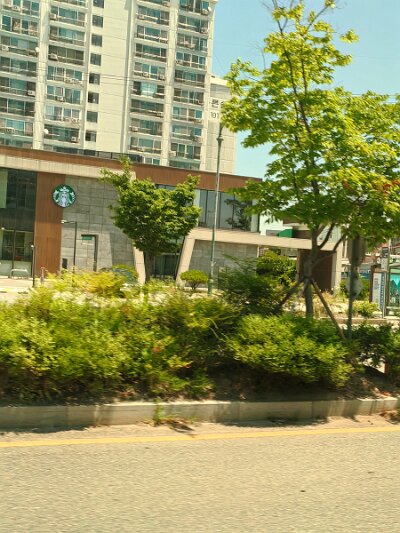 Jeonju053026 (112)