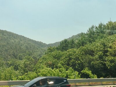 Jeonju053026 (12)