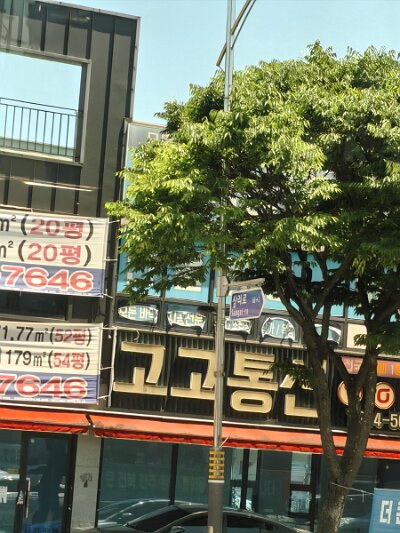 Jeonju053026 (125)
