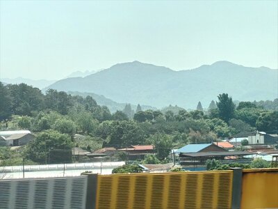 Jeonju053026 (18)