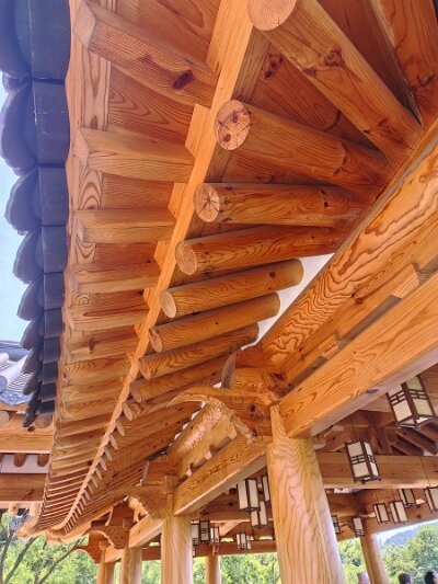 Jeonju053026 (206)