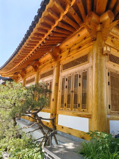 Jeonju053026 (219)