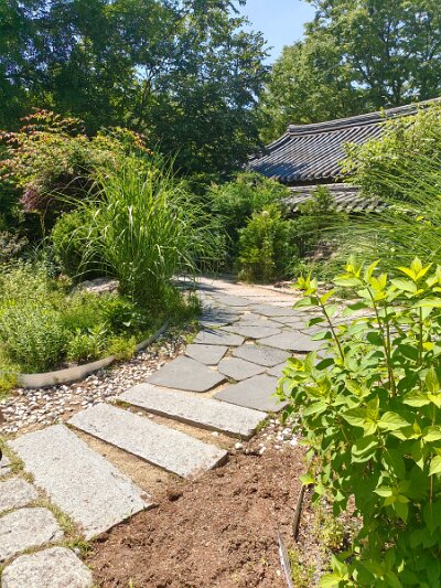 Jeonju053026 (250)