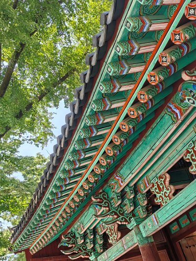 Jeonju053026 (255)
