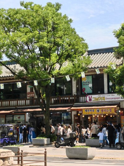 Jeonju053026 (263)