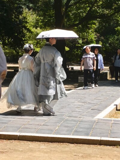 Jeonju053026 (327)