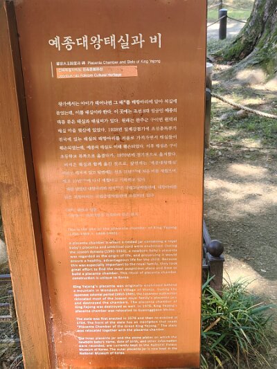Jeonju053026 (352)