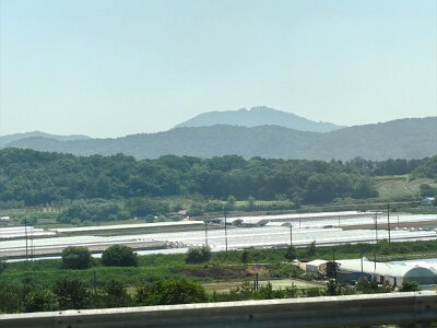 2Jeonju (13)