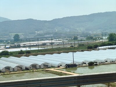 2Jeonju (15)