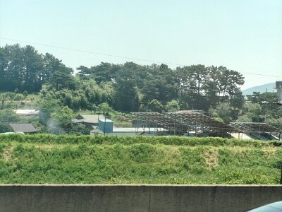 2Jeonju (17)