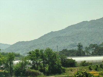 2Jeonju (2)