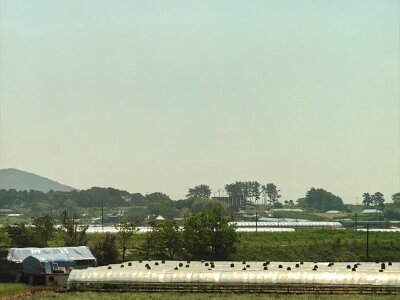 2Jeonju (20)