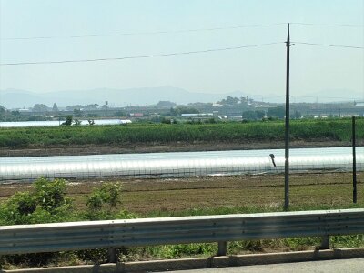 2Jeonju (24)