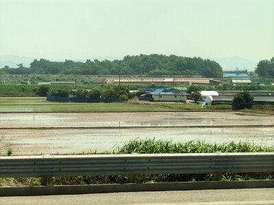 2Jeonju (27)