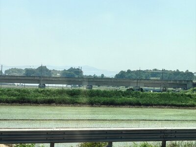 2Jeonju (28)