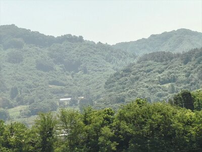2Jeonju (4)