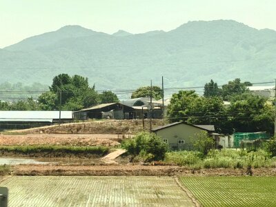 2Jeonju (42)